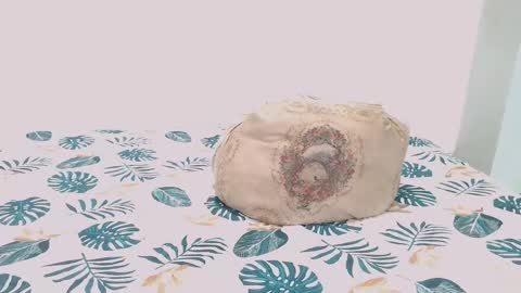 David online show from 02.09.25