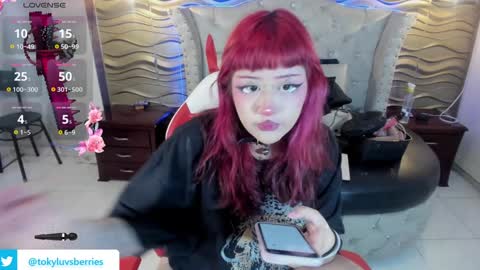 toky         online show from 01.07.25