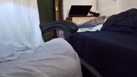 tolon408472 online show from 11.04.25