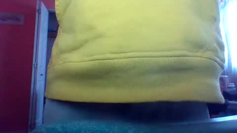 Snapshot of tomcat4848 chatting on 02.15.25 tomcat4848 online show from 02.15.25