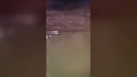 tomcop11111 online show from 03.29.26