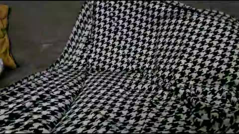 Bima online show from 09.24.25