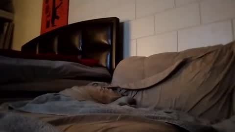 Snapshot of tomthebomb347 chatting on 09.14.25 tomthebomb347 online show from 09.14.25