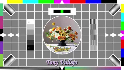 Snapshot of tony_vallejo chatting on 10.14.25 Tony V online show from 10.14.25