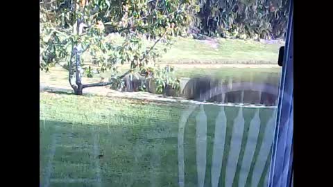 Snapshot of tonymcfly99 chatting on 02.21.25 tonymcfly99 online show from 02.21.25