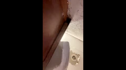 toronto5656 online show from 01.12.25