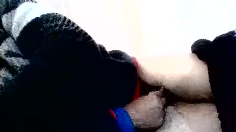 torresurionasantos online show from 02.02.26