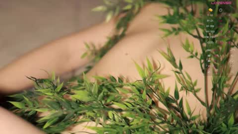 Toshi online show from 11.03.25