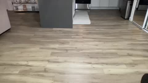 ASH online show from 02.08.25