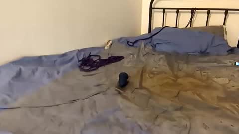 Snapshot of toxic2lust chatting on 03.04.26 toxic2lust online show from 03.04.26