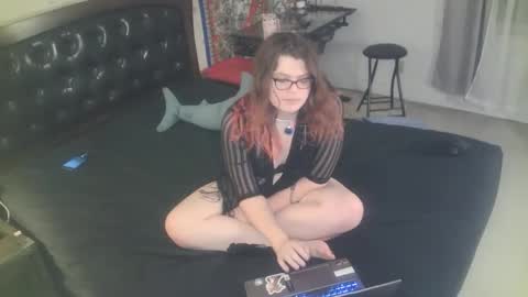 Snapshot of tranicpixiedreamgrl chatting on 11.25.25 tranicpixiedreamgrl online show from 11.25.25