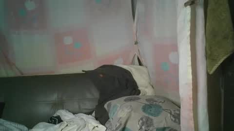 transhottie28 online show from 03.03.25