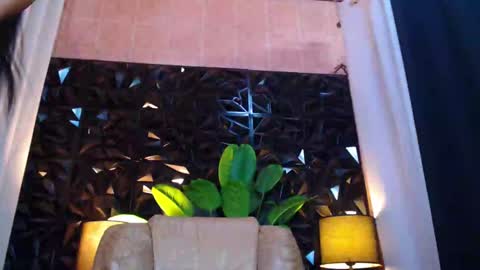 transpornidol online show from 12.14.24