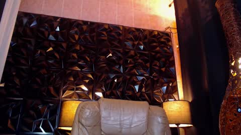 transpornidol online show from 02.15.25