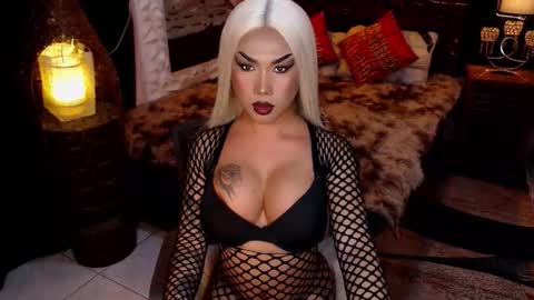 transpornidol online show from 02.04.26