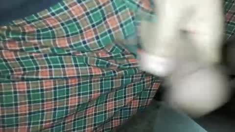 Daddy Edgalot online show from 01.14.25