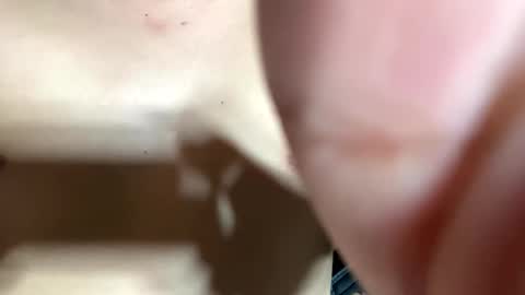 trebz_01 online show from 04.14.26