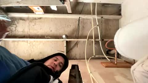 trees559 online show from 03.02.26