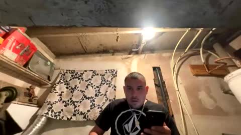 trees559 online show from 03.11.26