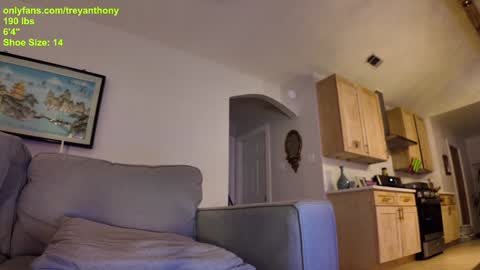 decentanthony online show from 01.07.25