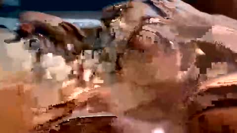 trigood online show from 02.13.25