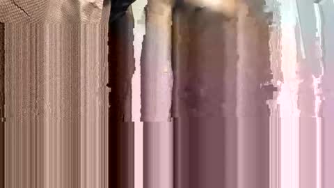 WapBopper online show from 02.02.25