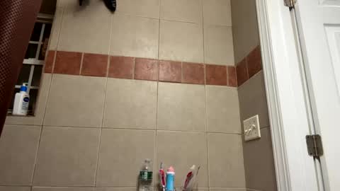 WapBopper online show from 02.11.25