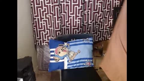 SARCY online show from 02.24.26