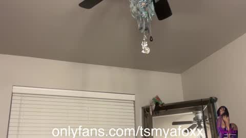 tsfoxx online show from 12.11.24