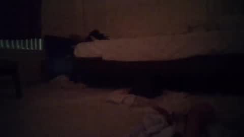 tsgoddessdani online show from 05.13.26