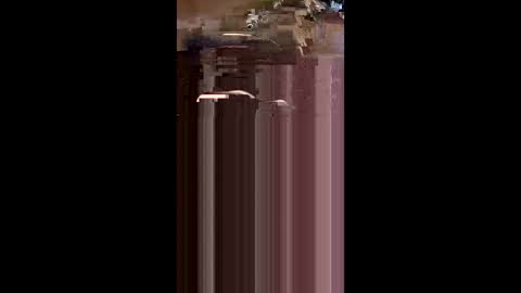 tshull0009 online show from 04.01.26