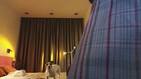 Ariana online show from 12.03.25