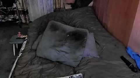 Lana online show from 03.06.25