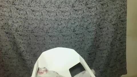 Snapshot of twerker_lyly chatting on 10.07.25 twerker_lyly online show from 10.07.25