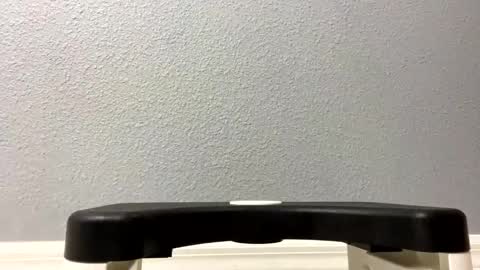 twetcock online show from 02.06.25