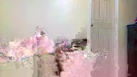 Snapshot of twinflamecaps chatting on 04.09.26 twinflamecaps online show from 04.09.26