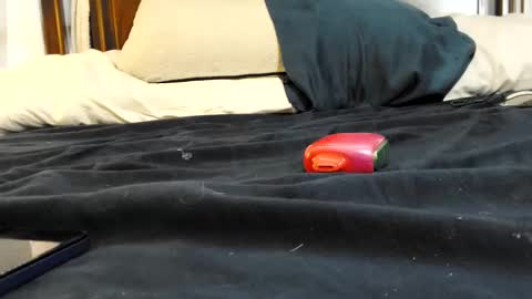 twinkkluvva online show from 02.17.26