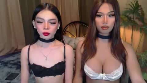 Snapshot of twinktransshanel chatting on 10.06.25 twinktransshanel online show from 10.06.25