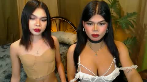 Snapshot of twinktransshanel chatting on 10.20.25 twinktransshanel online show from 10.20.25