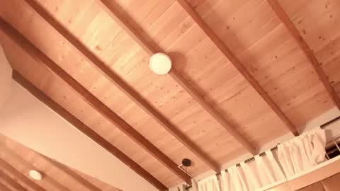 Twiggy online show from 02.27.25