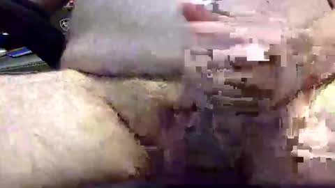 txranger6519 online show from 04.22.26