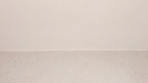 Tyler online show from 03.29.26