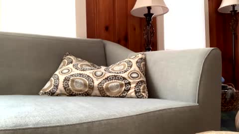 Tyler Sands online show from 02.11.25