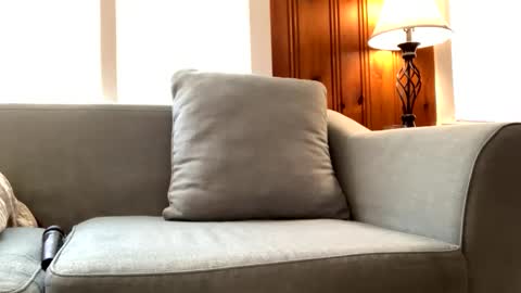 Tyler Sands online show from 02.22.25