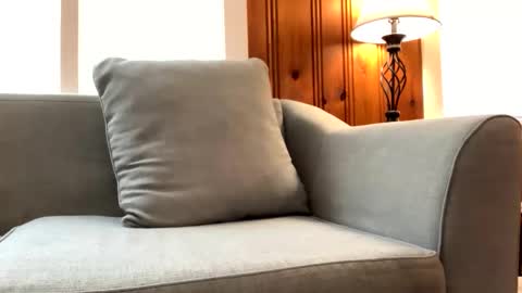 Tyler Sands online show from 02.23.25