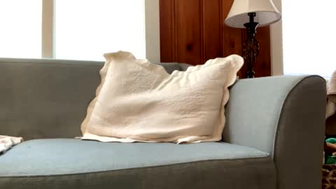 Tyler Sands online show from 03.02.25