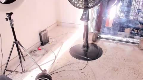 Dvid Rullers online show from 12.14.25