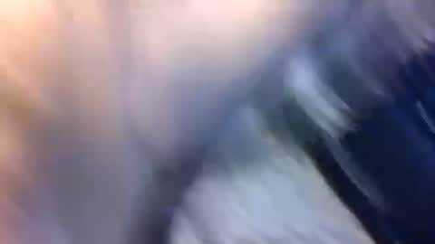 Snapshot of uncut7half237495 chatting on 10.17.25 uncut7half237495 online show from 10.17.25