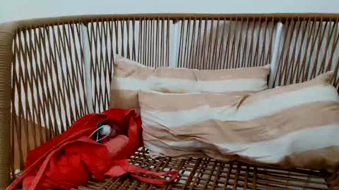 Snapshot of underground33 chatting on 01.16.25 Under Huge cock with beautiful uncut foreskin online show from 01.16.25