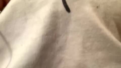 Snapshot of unknownkay chatting on 11.01.25 unknownkay online show from 11.01.25